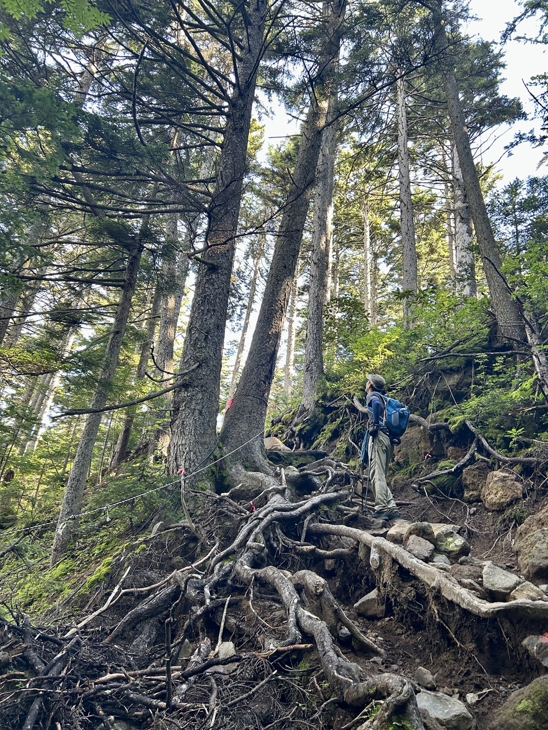 climbing