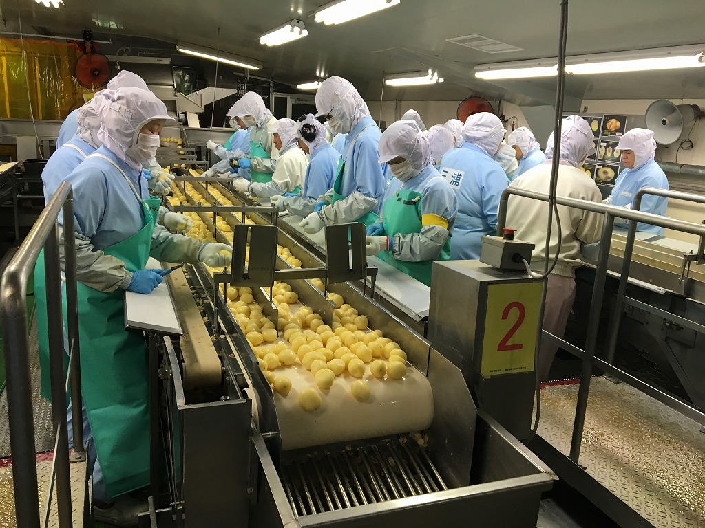 製造スタッフの画像