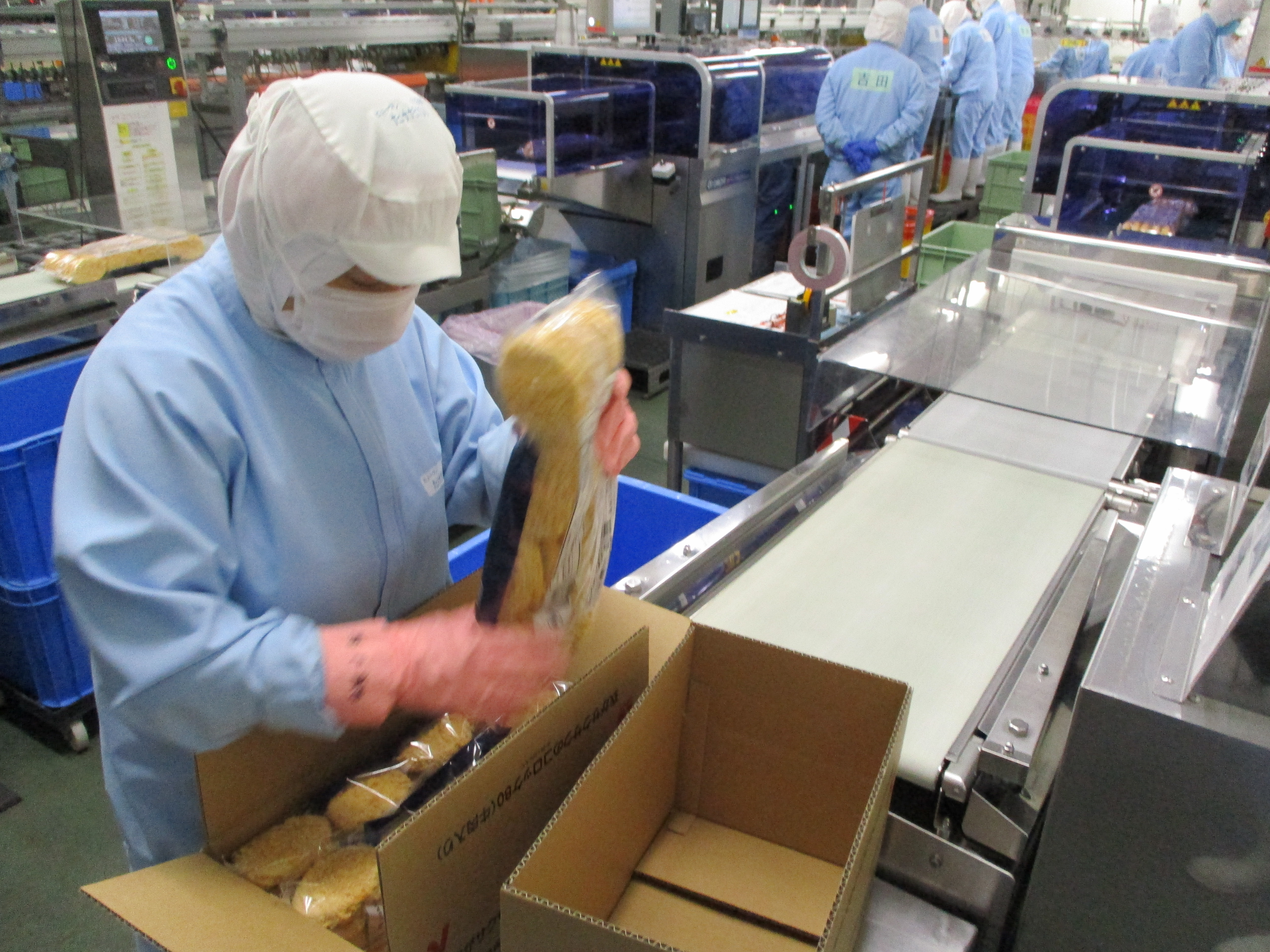 製造スタッフの画像